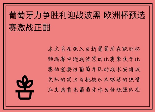 葡萄牙力争胜利迎战波黑 欧洲杯预选赛激战正酣