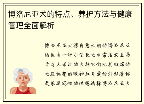 博洛尼亚犬的特点、养护方法与健康管理全面解析