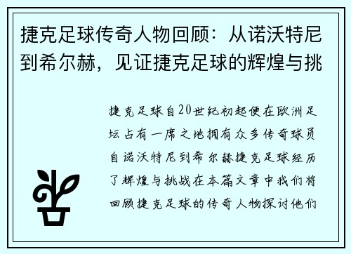 捷克足球传奇人物回顾：从诺沃特尼到希尔赫，见证捷克足球的辉煌与挑战