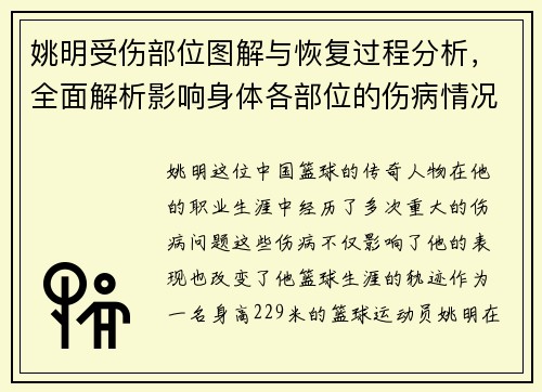 姚明受伤部位图解与恢复过程分析，全面解析影响身体各部位的伤病情况